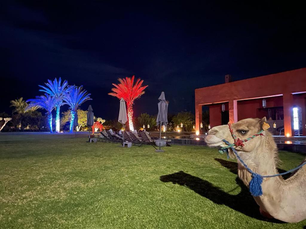 Dar Noujoum Hotel Ait Bou Zguia Buitenkant foto